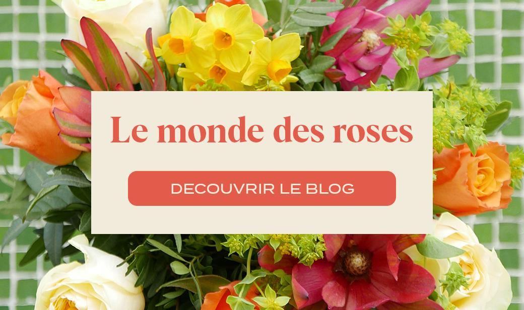 Fleurs D Amour Bouquet D Amour Au Nom De La Rose