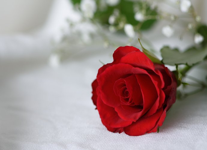 Quelle est la symbolique du rose en déco ? - Marie Claire